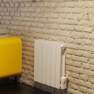 Radiateur électrique à fluide caloporteur 2000W THAJ XS - FINIMETAL 3633200