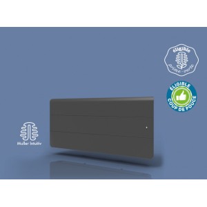 Radiateur Fonte INTUIS AXOO 1000W Bas Gris anthracite connecté NEN3093SEHS