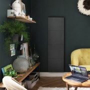 Radiateur Fonte INTUIS AXOO 1500W Vertical Gris anthracite connecté NEN3085SEHS