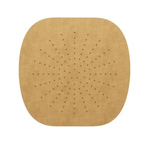 Douche de tête extra-plate Sandwich FOIL Or Brossé - PD95696P CRISTINA ONDYNA