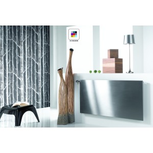 Radiateur eau chaude ALTIMA Horizontal 181W - ACOVA VM-030-060
