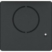 MTMFAL0PVR - Façade pour module audio Lite sans boutons, version VR CAME 60020630 