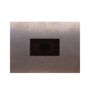 Façade Inox + Caméra Couleur Pour Pic3G - COMELIT PIC3G/CC 