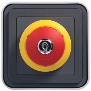 cubyko A. U. clé saillie gris HAGER WNC032 