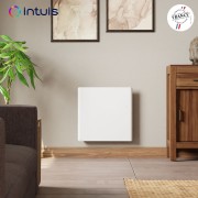 Radiateur électrique inertie fonte CHAMANE Nativ connecté INTUIS