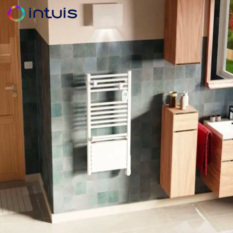 Sèche-serviettes électrique soufflant 750+1000W blanc Ezybain boost - INTUIS M172416
