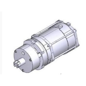 Groupe Moteur + Frein Amico 230V - CAME  88001-0138 