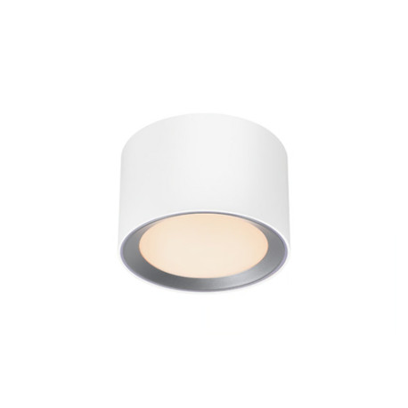 Plafonnier de salle de bain LED blanc LANDON - NORDLUX 2110660101