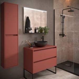 Meuble salle de bains et plan de toilette 80cm 2 tiroirs Red Satin NOJA - SALGAR 105476