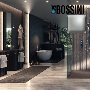 Partie externe mitigeur monocommande mural bain douche nickel satiné Apice - Bossini Z00555094