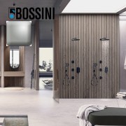 Parties externes pour mitigeur thermostatique universel nickel satiné Apice - Bossini Z00500094