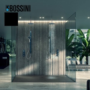Ensemble barre de douche plate et pomme de douche noir mat Apice - Bossini D48086073