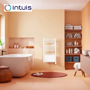 Sèche-serviettes électrique soufflant blanc 300W+1000W Ezybain nativ - INTUIS M245214