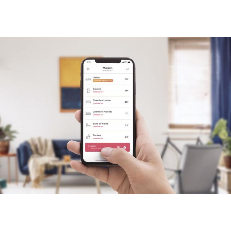 Module Intuis connect with Netatmo Gris - NEN9241AAHS