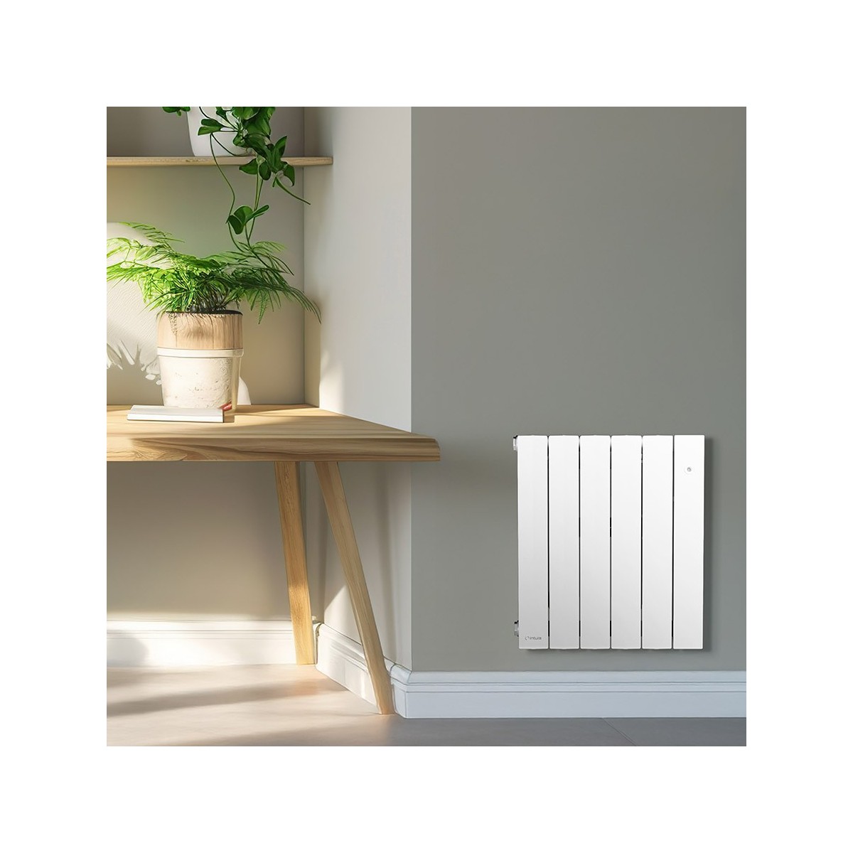 Radiateur électrique AXINO 2000W 3EO INTUIS