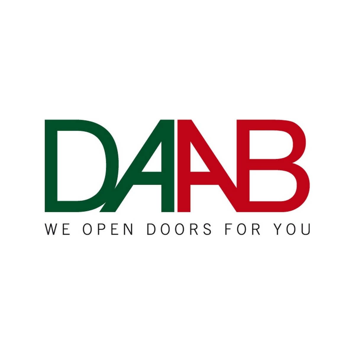 Mag lock card db310 - FAAC 016100FN 