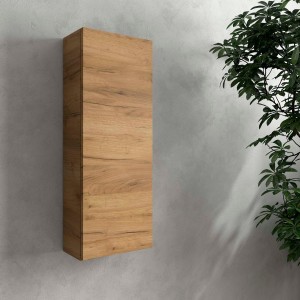 Module INFINITY 300 1 porte Chêne Africain H800 P160 - SALGAR 117880 