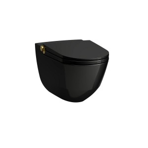Riva wc lavant avec abattant céramique noir brillant, bouton gold brossé - LAUFEN H8206910220001 