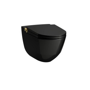 Riva wc lavant avec abattant céramique noir brillant, bouton gold pâle mat - LAUFEN H8206910230001 