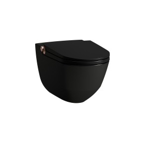 Riva wc lavant avec abattant céramique noir mat, bouton rose gold brossé - LAUFEN H8206917190001 