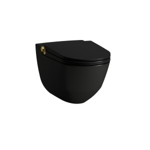 Riva wc lavant avec abattant, couleurs:céramique noir mat, bouton gold brossé - LAUFEN H8206917170001 