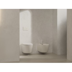 Meridian abattant frein de chute déclipsable en urea charnières en acier inox - ROCA A801F92621 