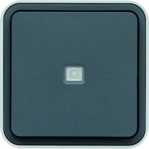 Bouton poussoir 1O/1F lumineux cubyko étanche IP55 gris pose en saillie - HAGER WNC021 