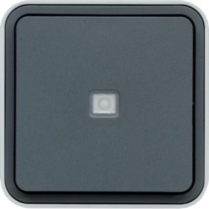 cubyko BP 1O à voy témoin gris HAGER WNC023