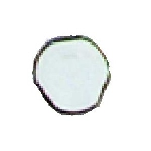 Vis antivandale m5x25 - URMET M5/25