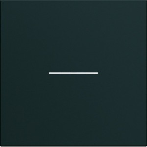 Enjoliveur interrupteur à voyant 2 modules night GALLERY HAGER WXD001N