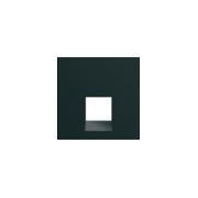 Enjo RJ45 45° 2M night - APPAREILLAGE MURAL GALLERY HAGER WXD230N