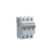 Disj.mag.2P 25kA 10A 3m - DISJONCTEURS MULTI.  HAGER MMN310