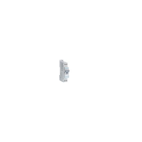 Disj.1P+N 6-10kA D-25A 1m - DISJONCTEURS PH+N  HAGER NGT725