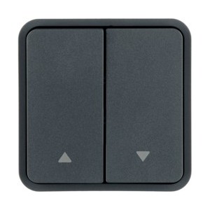 Cubyko 2 t. KNX pr 1 VR gris - APPAREILLAGE MURAL  HAGER WNT982