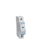 Interrupteur 1P 125A - COMMANDE SIGNAL  HAGER SBN199