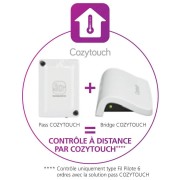 Pass COZYTOUCH pour radiateurs ATLANTIC - 602251