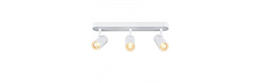 Découvrez nos réglette au meilleur prix !