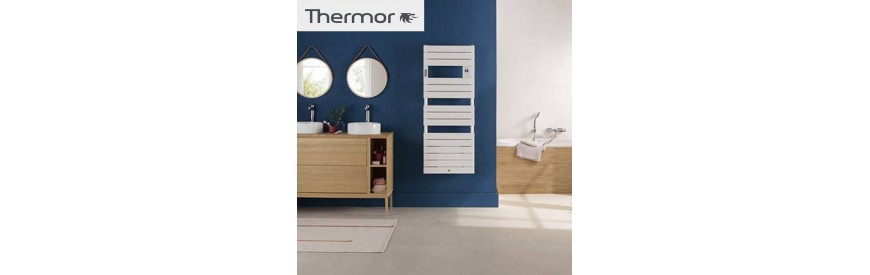 Sèche-serviettes électrique Thermor RIVIERA 2 soufflant