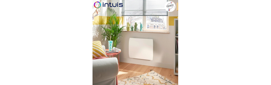 Radiateur electrique vertical Intuis OSLO 2