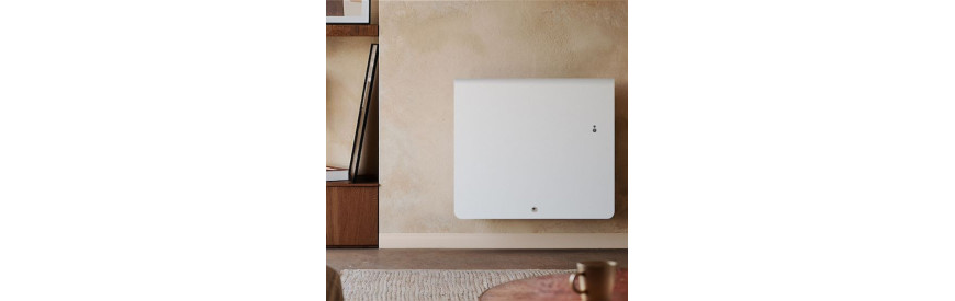 Radiateur électrique THERMOR EQUATEUR 5 Horizontal