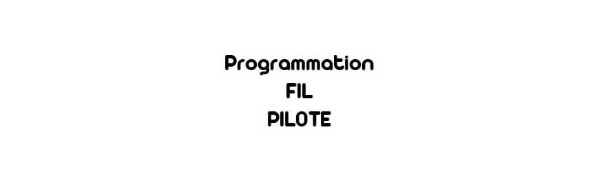 Fil pilote & programmateurs chauffage : pilotage électrique | VitaHabitat